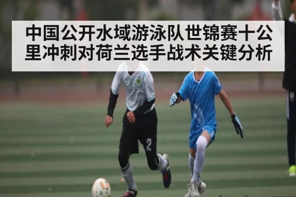 中国公开水域游泳队世锦赛十公里冲刺对荷兰选手战术关键分析
